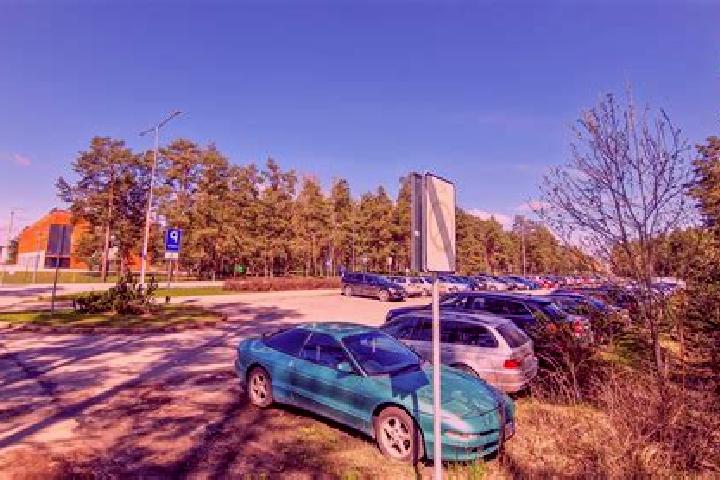 Escorts Voru, Estonia — Local Companions