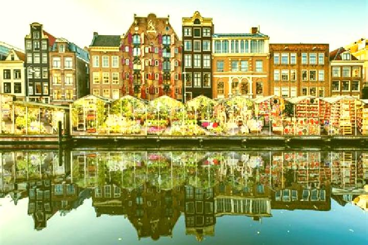 Escorts Vrouwenparochie, Netherlands — Local Companions