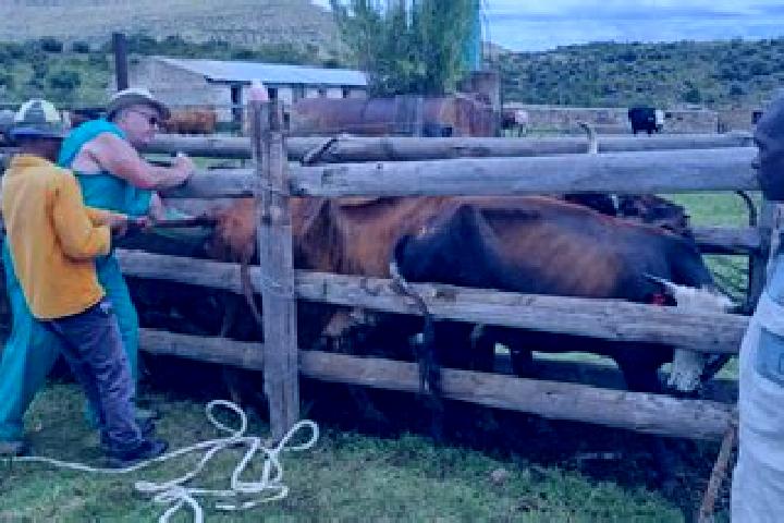 Escorts Vryheid, South Africa — Local Companions