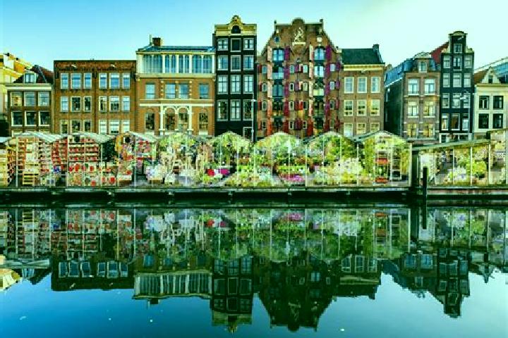 Escorts Waddinxveen, Netherlands — Local Companions