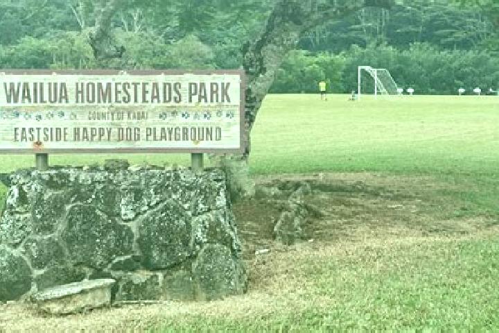 Escorts Wailua Homesteads, United States — Local Companions