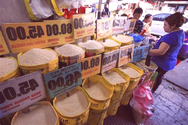 Escorts Wangan, Philippines — Local Companions