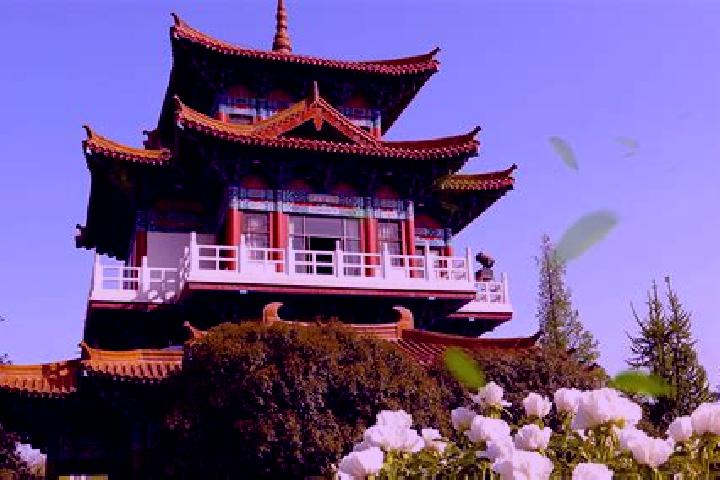 Escorts Wangcheng, China — Local Companions
