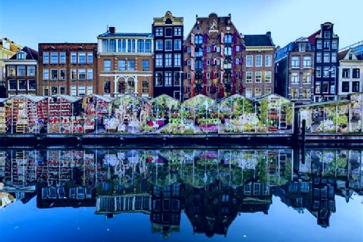 Escorts Wanssum, Netherlands — Local Companions