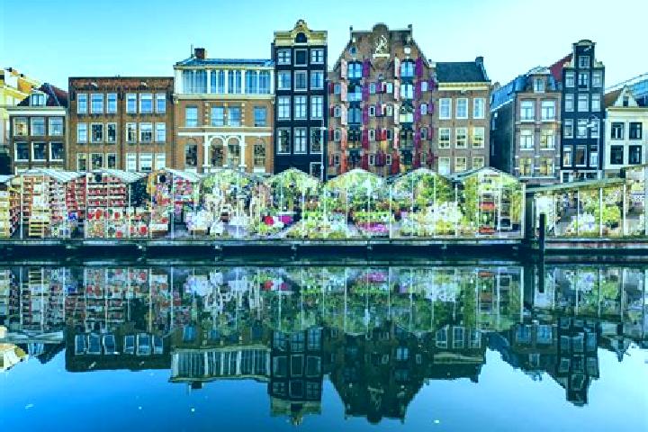 Escorts Warga, Netherlands — Local Companions