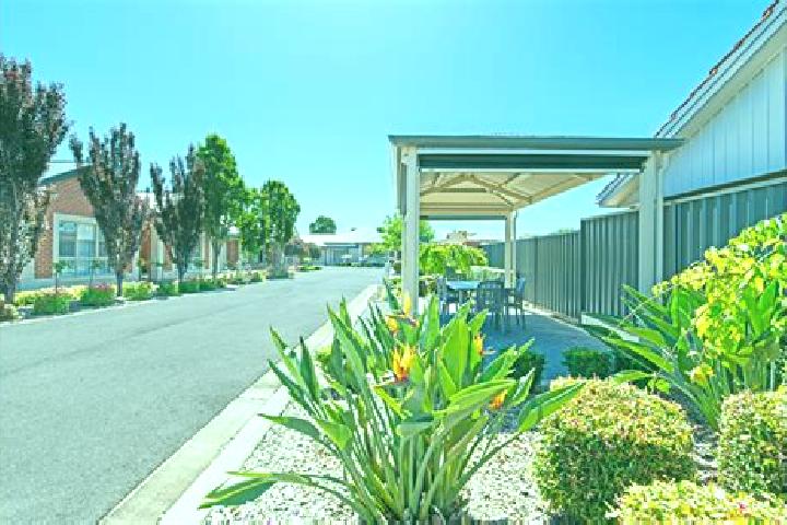 Escorts Warradale, Australia — Local Companions