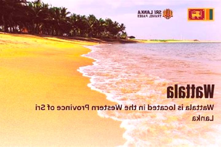 Escorts Wattala, Sri Lanka — Local Companions