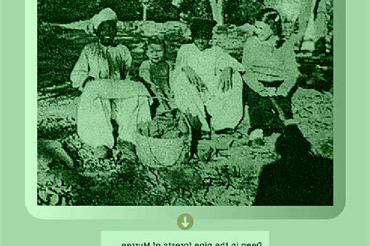 Escorts Weir, India — Local Companions