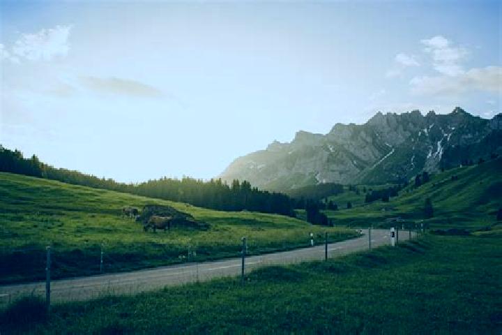 Escorts Weisslingen, Switzerland — Local Companions