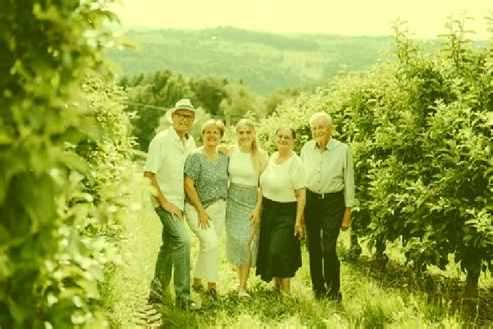 Escorts Weiz, Austria — Local Companions