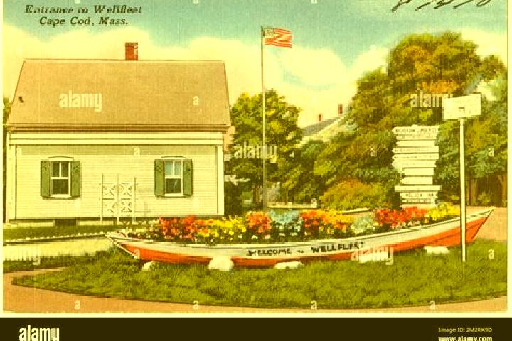 Escorts Wellfleet, United States — Local Companions