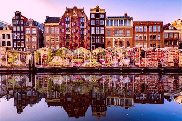 Escorts Welsum, Netherlands — Local Companions