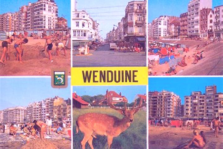 Escorts Wenduine, Belgium — Local Companions