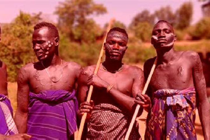 Escorts Werota, Ethiopia — Local Companions
