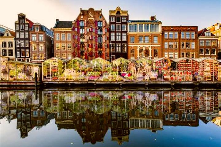Escorts Westbroek, Netherlands — Local Companions