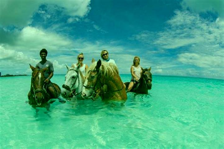 Escorts Wheeland, Turks and Caicos Islands — Local Companions