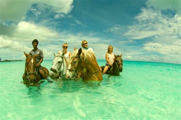Escorts Whitby, Turks and Caicos Islands — Local Companions