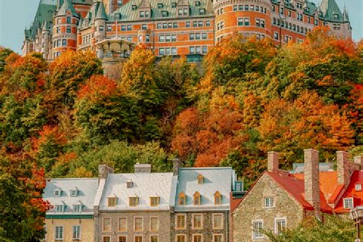 Escorts White City, Canada — Local Companions