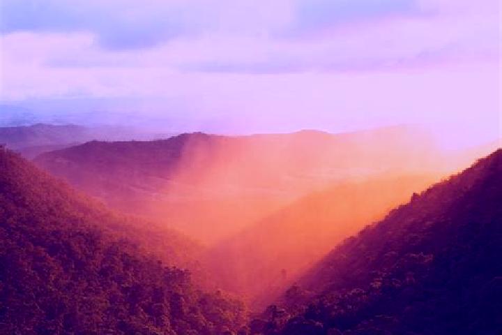 Escorts White Hills, Australia — Local Companions