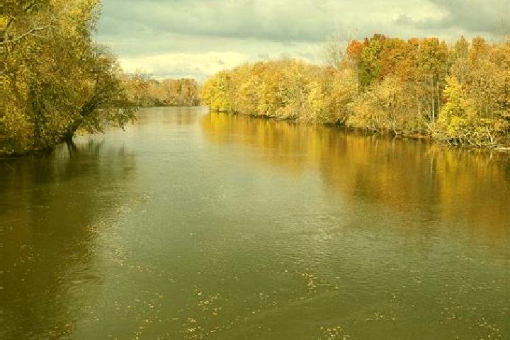 Escorts White River, United States — Local Companions