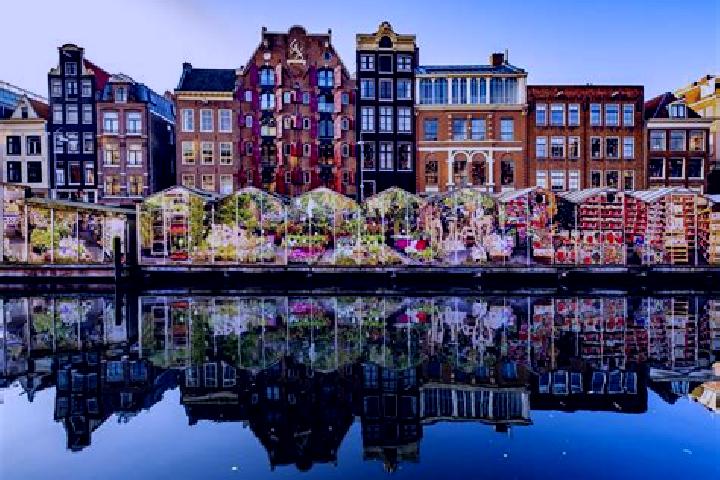 Escorts Wiene, Netherlands — Local Companions