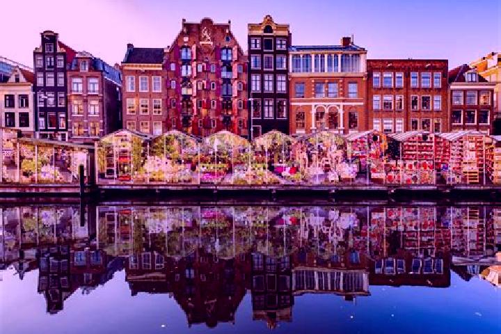 Escorts Wilhelminadorp, Netherlands — Local Companions