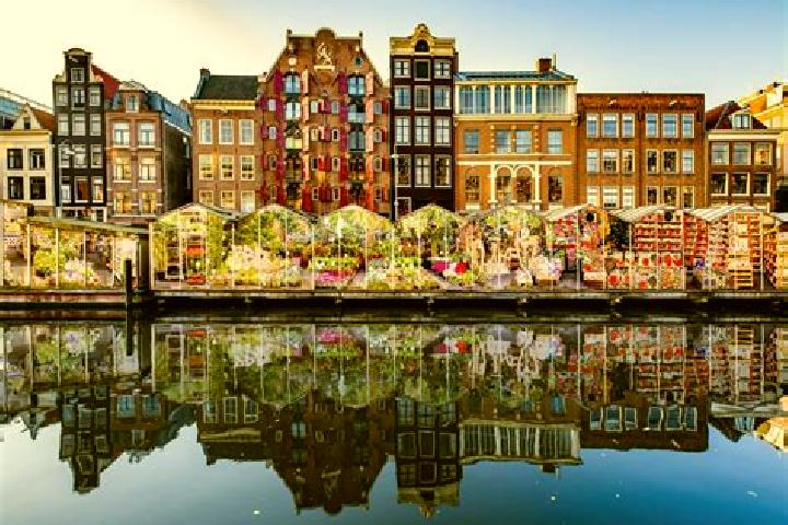 Escorts Wilnis, Netherlands — Local Companions
