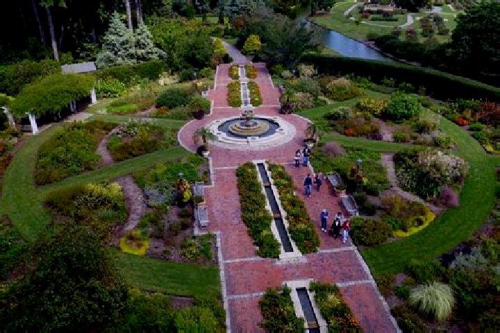 Escorts Wilroads Gardens, United States — Local Companions