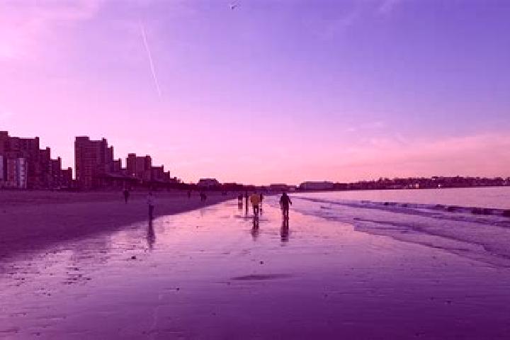 Escorts Winter Beach, United States — Local Companions