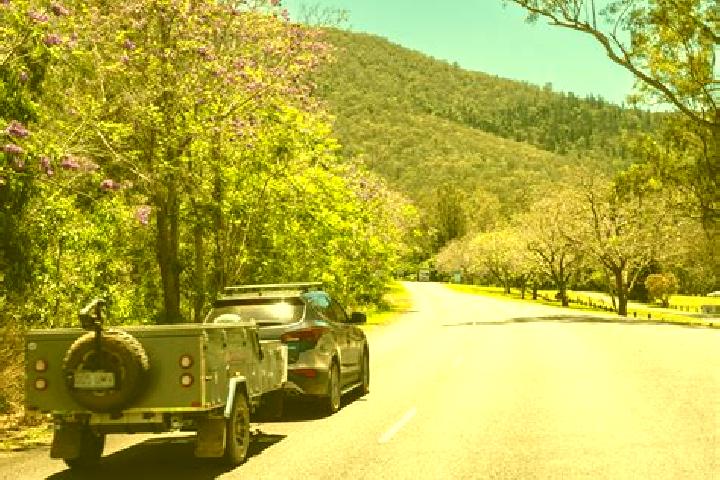 Escorts Withcott, Australia — Local Companions
