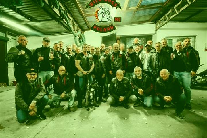 Escorts Witnica, Poland — Local Companions