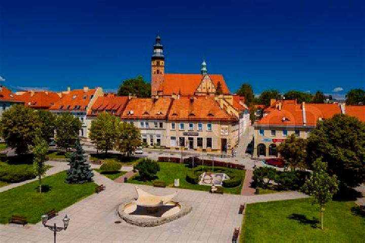 Escorts Wodzislaw, Poland — Local Companions