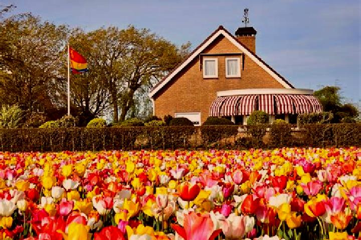 Escorts Wommels, Netherlands — Local Companions