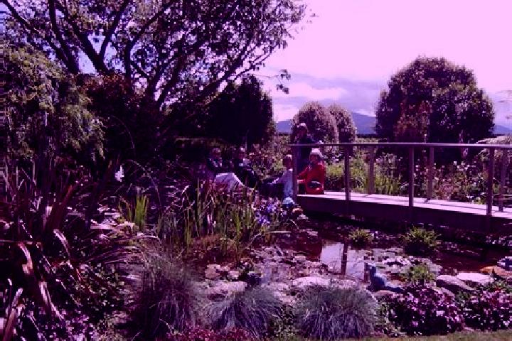 Escorts Woodend, New Zealand — Local Companions
