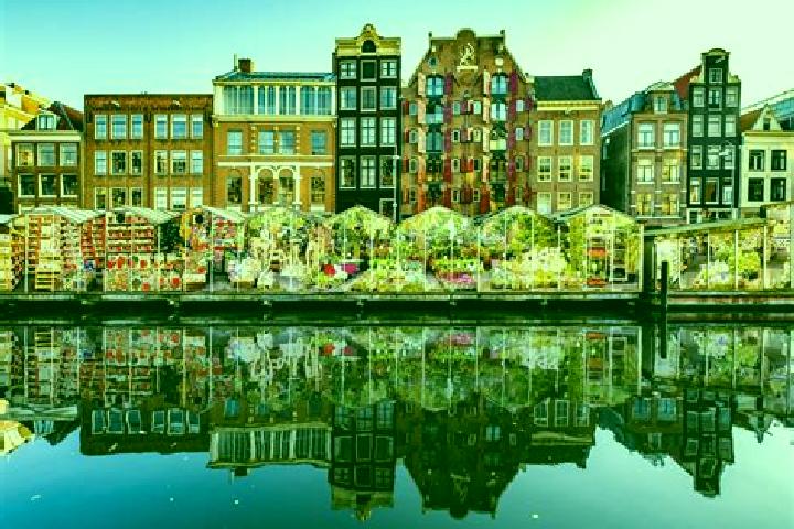 Escorts Wouw, Netherlands — Local Companions
