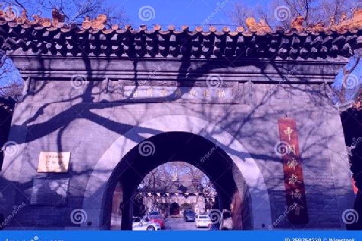 Escorts Xisi, China — Local Companions
