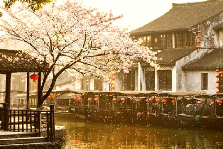 Escorts Xitang, China — Local Companions
