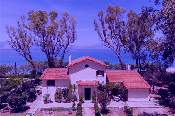 Escorts Xylokastro, Greece — Local Companions