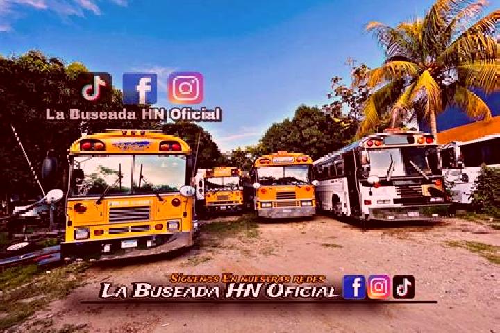 Escorts Yaguacire, Honduras — Local Companions