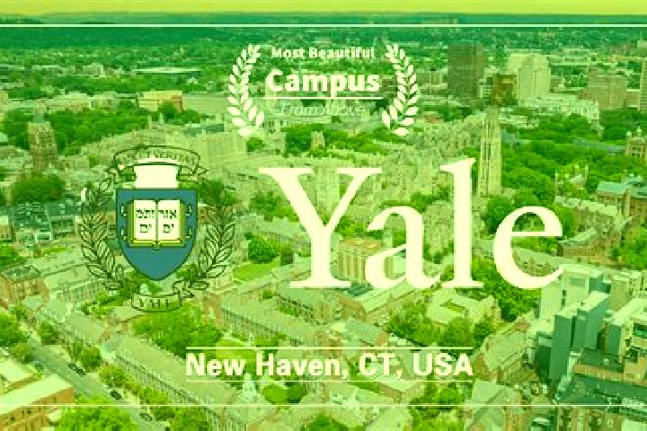 Escorts Yale, United States — Local Companions