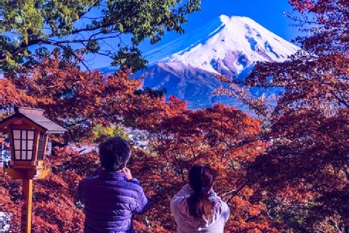 Escorts Yamanashi, Japan — Local Companions