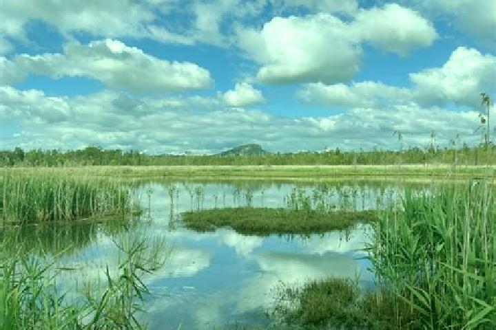 Escorts Yandina Creek, Australia — Local Companions