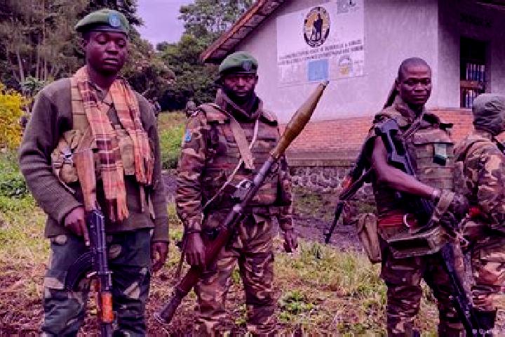 Escorts Yangambi, DR Congo — Local Companions