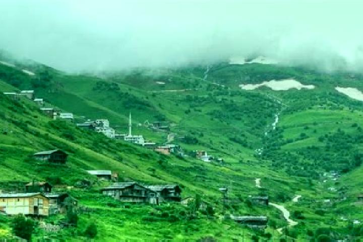Escorts Yayla, Turkey — Local Companions