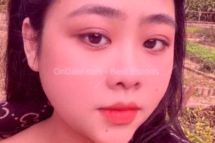 Escorts Yen Cat, Vietnam — Local Companions