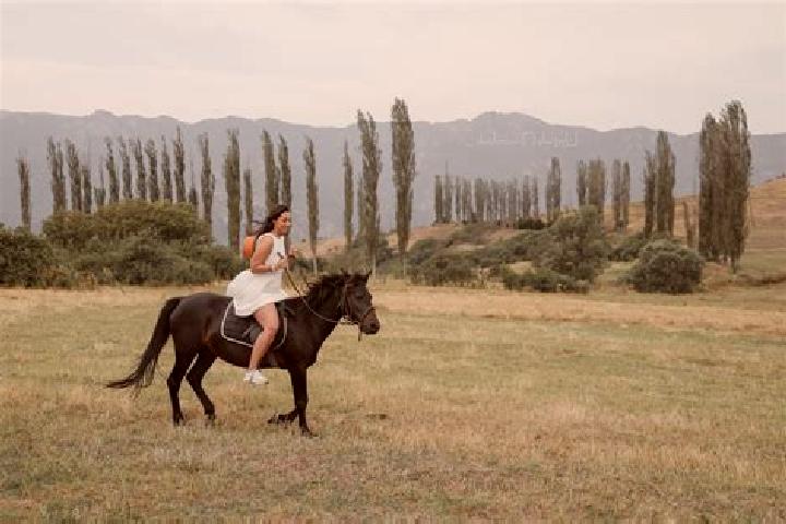 Escorts Yenokavan, Armenia — Local Companions