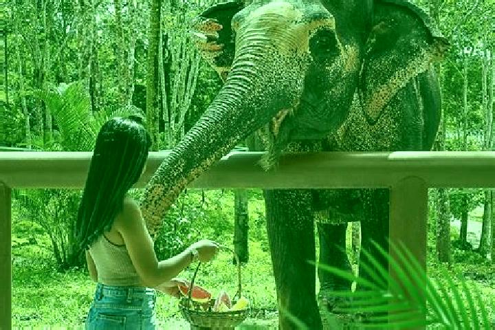 Escorts Yi-ngo, Thailand — Local Companions