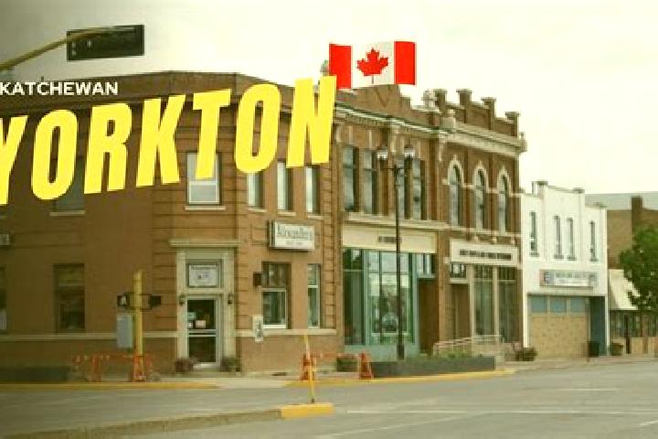 Escorts Yorkton, Canada — Local Companions