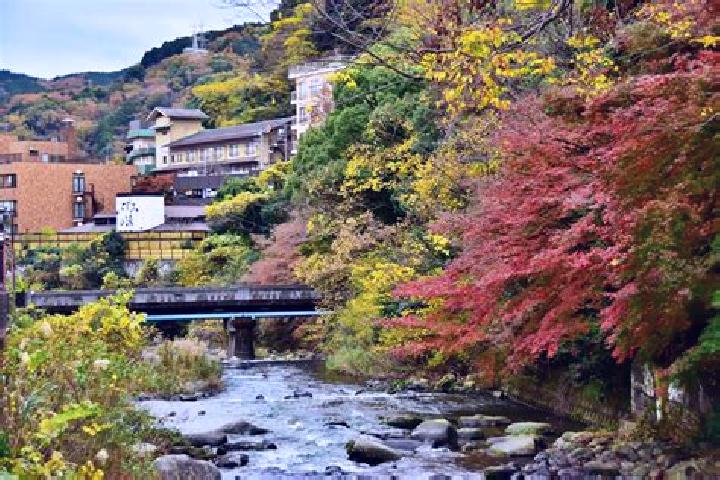 Escorts Yugawara, Japan — Local Companions