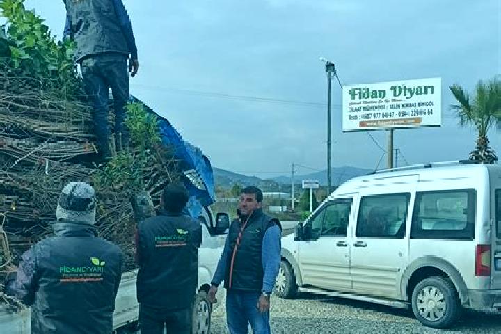 Escorts Yukarinarli, Turkey — Local Companions